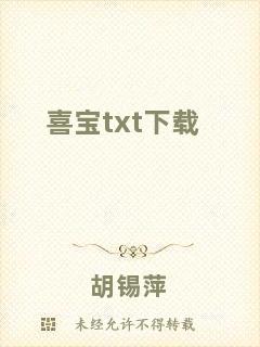 喜宝txt下载